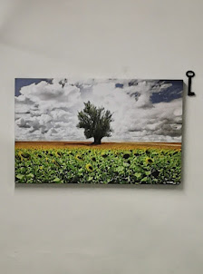 Immagine Estetista Michela Bazzocchi 4