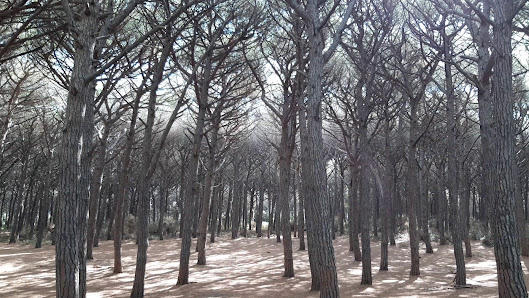 Immagine Hotel Massimo 3