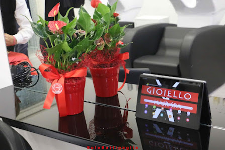 Immagine Gioiello hair spa 2