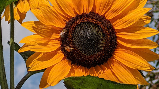 Immagine Centro Estetico Acquarja Di Callegher Luciana 2