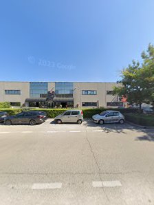 Immagine Estetica King 4