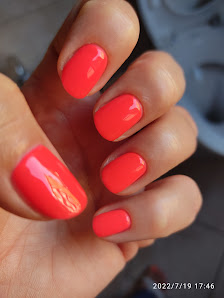 Immagine Fable Farm 2