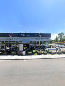 Immagine Tulip Beauty Lab 3