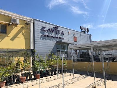 Immagine Zavyta Predda Niedda 3