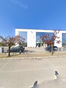 Immagine Non Solo Sole 2