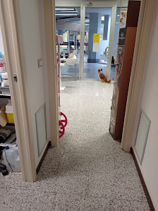 Immagine L'Image Estetica S.R.L. 2