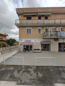 Immagine Butterfly 4