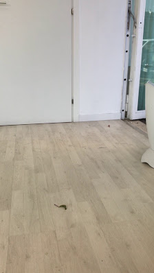 Immagine Beauty.it Ostia 3