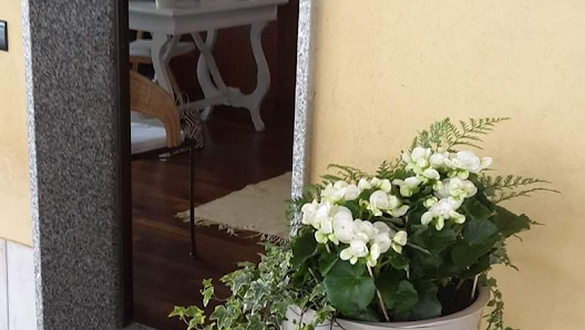 Immagine New Life Di Tavernini Marina 1