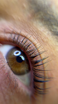 Immagine Atelier de rêve di Carla Gallisai & Giulia Salis 3