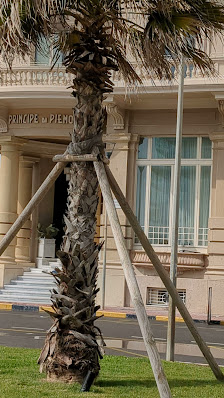 Immagine Stay Classy - High Class Beauty 3