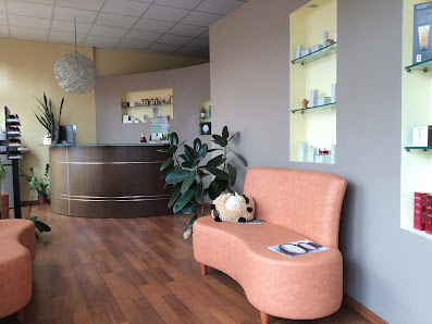 Immagine Samsara di Elisa 2