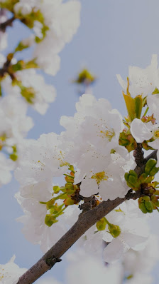 Immagine Alchimia Atelier del Benessere 3