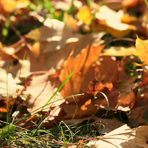 Immagine Nebari beauty Spa 4