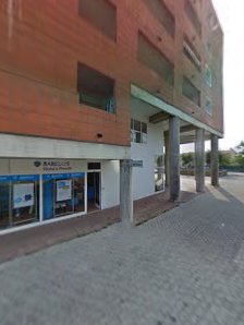 Immagine Massaggi Russi 3