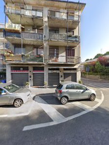 Immagine Helianto di Campo Stefania 1