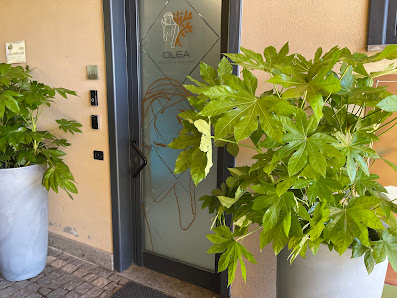 Immagine Olea Estetica & Wellness 1