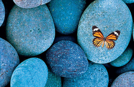 Immagine Estetica Claudia 2