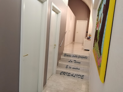 Immagine Crisalide 2