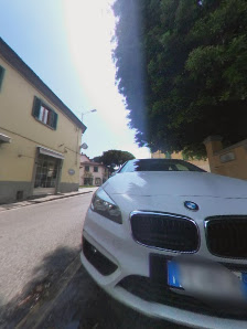 Immagine Minni Prato 4