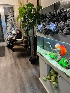 Immagine ROYAL LOOK centro estetico 1