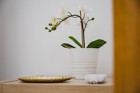 Immagine Medest Center 2