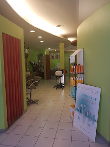 Immagine Estetica 5 Sfere e parrucchiere 1