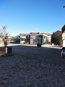 Immagine Artemisia 1