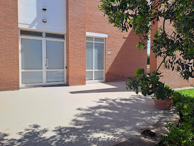 Immagine Sara Maludrottu - Naturopata e Counselor 1