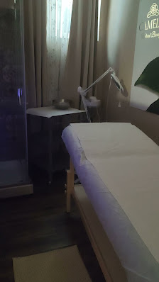 Immagine Camelia Natural Beauty 3