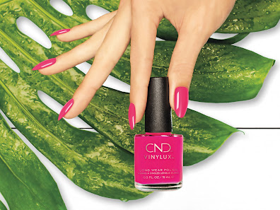 Immagine Venere Nails and Beauty Marina di Pietrasanta 3