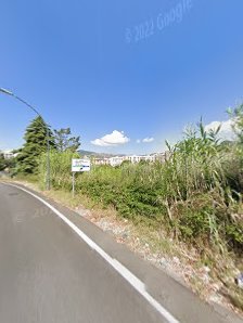 Immagine Salinardi Francesca 4