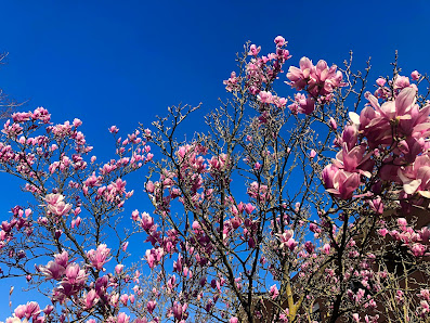 Immagine Happy Beauty Centro Estetico 1