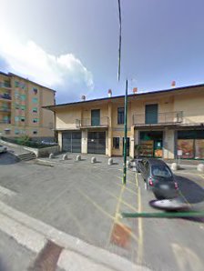 Immagine Sau Salito Di Bianchi Maura 1