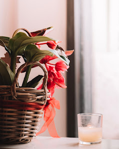 Immagine La Bottega del Benessere - Centro Estetico La Spezia 4