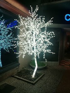 Immagine Columbus Fitness Club 1