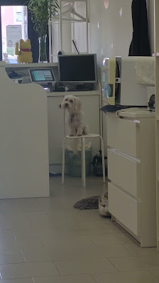 Immagine Giuly nail spa 3