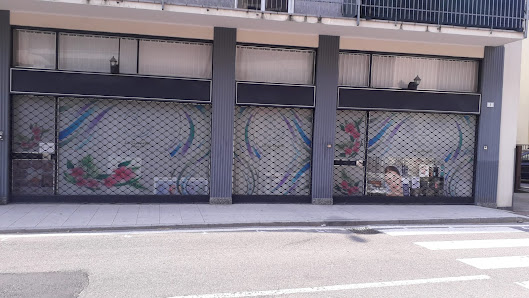 Immagine La Sirenetta di manuela delfino 1