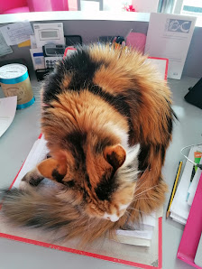 Immagine Allo Specchio di Bonacina Alessandra 1