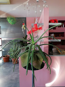 Immagine Allo Specchio di Bonacina Alessandra 3