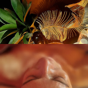 Immagine Estetica AGUA BEAUTY 1