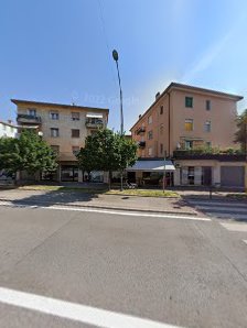 Immagine Estetica delfino di Marta Quintavalle 2