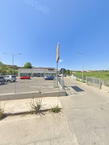 Immagine Nomasvello Nettuno 4