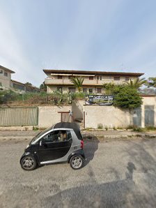 Immagine Artistica MD A.S.D. 3