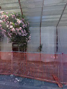 Immagine Pulsazione Nettuno 1