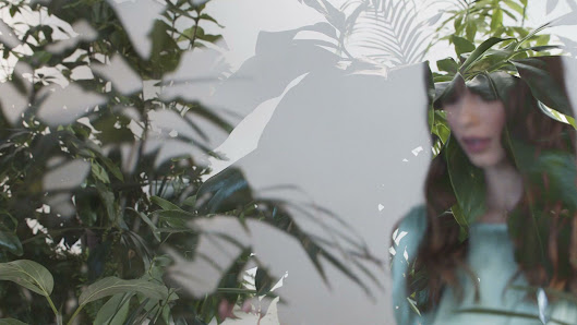 Immagine TagliatiXilSuccesso di Antonio Aiello 3