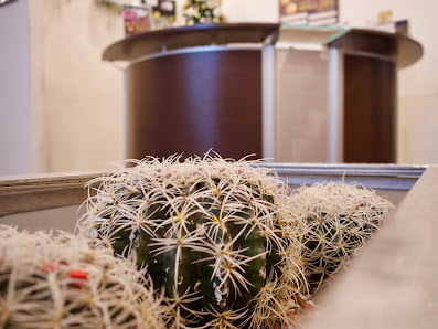 Immagine Biblo Sun & CnBeauty 1