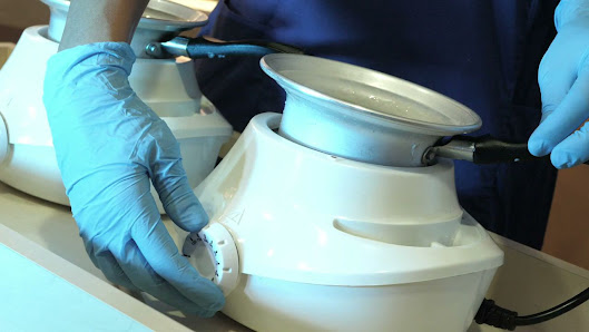 Immagine Il mondo di Selene 2