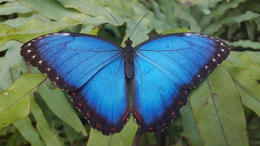 Immagine Estetica B 2