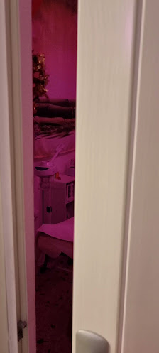 Immagine Need for beauty 3